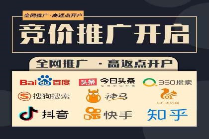 某电商平台的SEM运营实战与效果分析